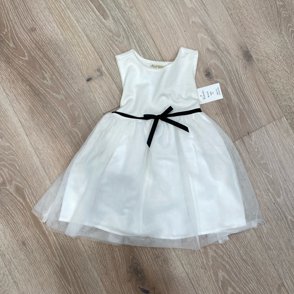 NWT 2T Flower Girl/Special Occasion Dress